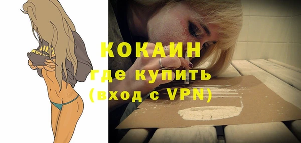 PSILOCYBIN Каменка