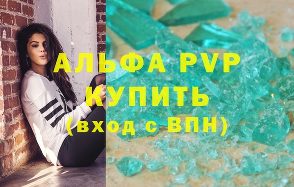 PSILOCYBIN Каменка