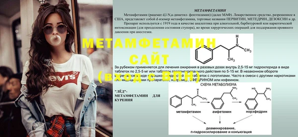 PSILOCYBIN Каменка