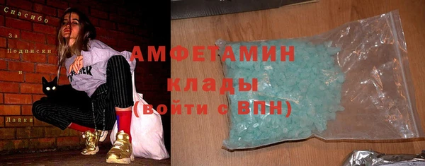 PSILOCYBIN Каменка
