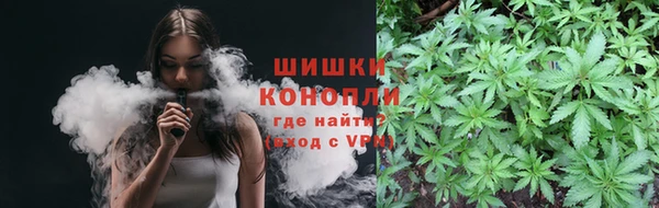 PSILOCYBIN Каменка