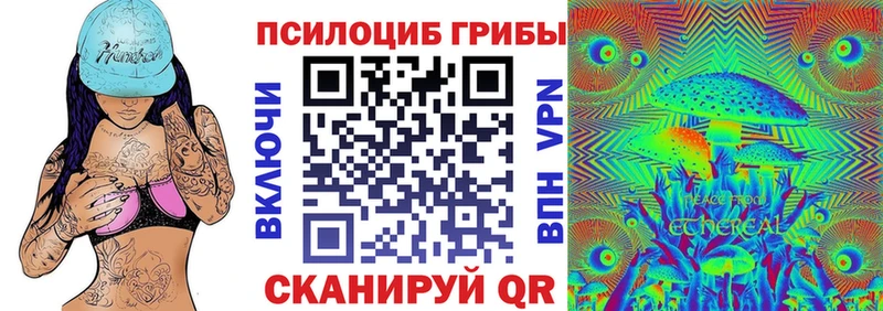Купить закладки  Боровичи  Псилоцибиновые грибы Cubensis 